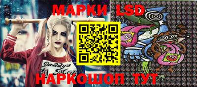 гашик Будённовск